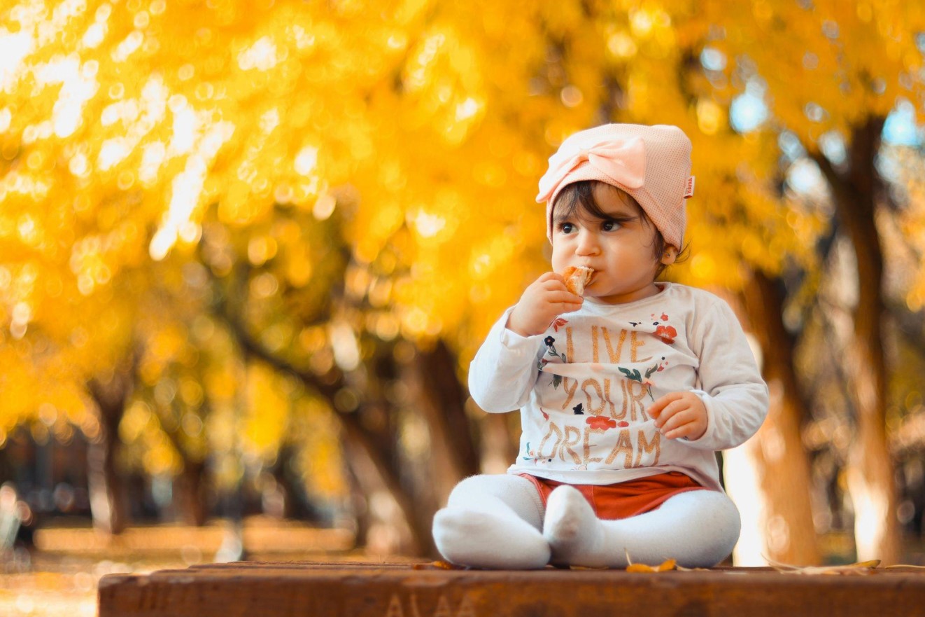 Best High Chair: Choosing Comfort for Your Baby